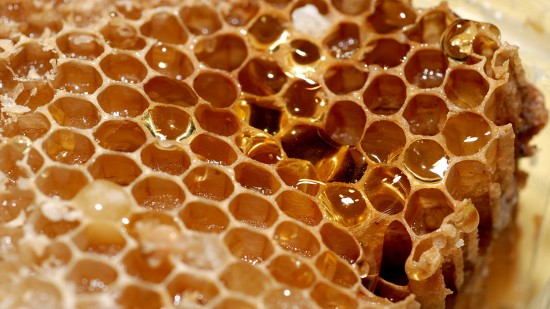 Польза пчелиной перги в детском питании3